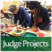 Spend a day or a few hours evaluating 4-H presentations and competitions.