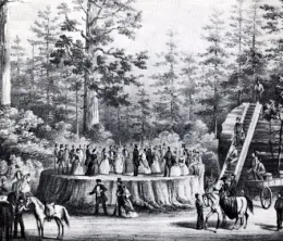 Stump Dance Illustration (from: sierracollege.edu)