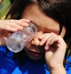 This first-grader got a good luck at a Valley carpenter bee, caught by Robbin Thorp in a special device and then released. (Photo by Kathy Keatley Garvey)