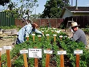 Two master gardeners, a woman and a man, tend to a garden filled with labeled plants and greenery.