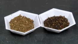 Almond Hull Seq_Fresh versus Used