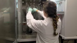 Checking Incubator bag