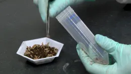 Simulated harvesting Seq_Various