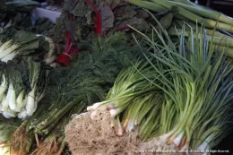 An assortment of fresh vegetables, including green bok choy, feathery dill, and long green scallions, organized in bundles and showcasing vibrant colors and textures.