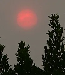 Reddish sun, smoke-choked sky on Oct. 10 in Vacaville, Calif. (Photo by Kathy Keatley Garvey)