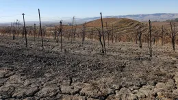 October, 2017. Photo by Mary Halasz