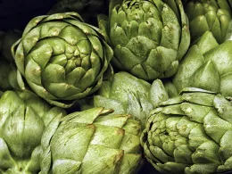 Fresh picked artichokes