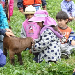 meeting the new kids