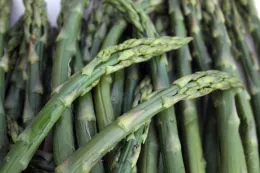 Asparagus, from UC ANR repository, no attribution required
