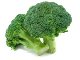 Two heads of vibrant green broccoli on a white background, showing dense florets and thick stems.