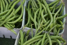 Baskets filled with fresh green beans in a market setting.