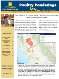 Edition 13 Winter 2018