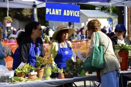 Garden advice table at Master Gardener event