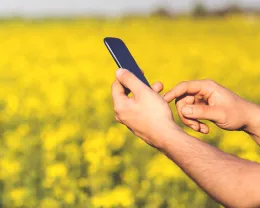 man-field-smartphone-yellowCROP