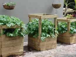 DIY Potato Box