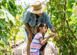 Horticultura_Gardening