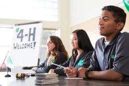 32310116490_e461ce1d6a_o