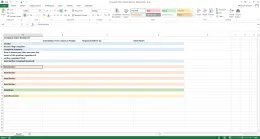 Complaint Action Worksheet