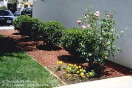 Crushed rock by Jack Kelly Clark