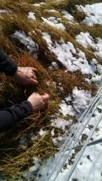 IMG_20171020_114341033