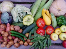 A colorful assortment of summer vegetables including red tomatoes, green peppers, yellow squash, corn, cabbage, and a cantaloupe melon arranged on a wooden surface.