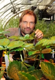 Agricultural entomologist Christian Nansen working in his greenhouse. (Photo by Kathy Keatley Garvey)