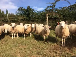 2016-10-22 15.04.05-1