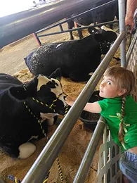 33199780_10212210590561049_2345602608099491840_o