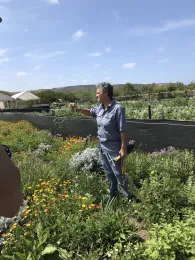 ANR IPM Advisor Cheryl Wilen at Wild Willow Farm