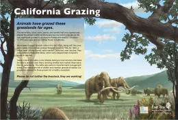 Grazing Panel - California Grazing