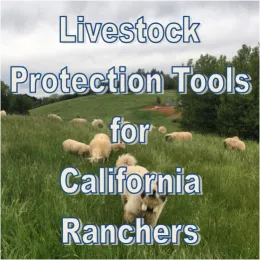 livestockprotbutton