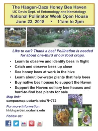 Häagen-Dazs Honey Bee Haven at UC Davis is hosting a plant sale and open house.