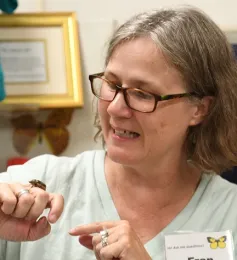 Entomologist Fran Keller, an assistant professor at Folsom Lake College, checks out a beetle drawn to the blacklights. She received her doctorate from UC Davis, studying with Lynn Kimsey, who directs the Bohart Museum of Entomology. (Photo by Kathy Keatley Garvey)