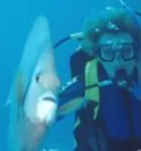 This photo with angelfish was in Michel's ANR directory listing.