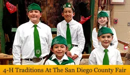 4-H County Fair Banner