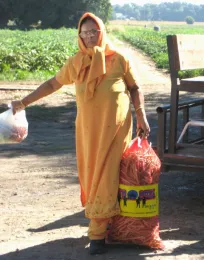 Full sack of fresh beans - R. Kelley Farm