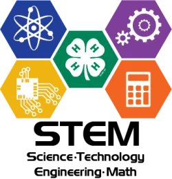 STEM logo