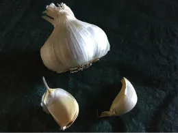 A whole garlic bulb is centrally located, with two individual peeled cloves at the bottom, all set against a dark green background.