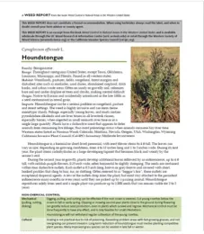 Houndstongue from WRIC pub