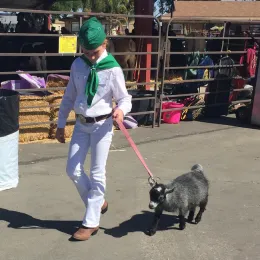 ...Self-discipline through animal projects