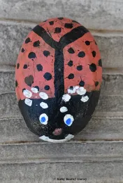 Visitors to the Bohart Museum are invited to do 