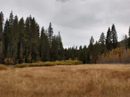 IMG_20181001_145635714_HDR