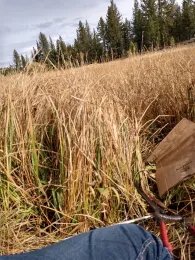 IMG_20181001_104539216_HDR - rotate