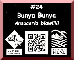 Example Tree Walk Sign