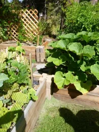 Christmas Valley family garden