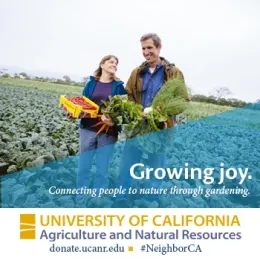 Growing GivingTuesday