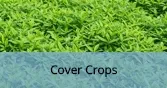 CoverCrops_Final