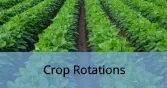 CropRotations_Final