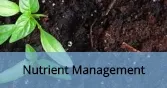 NutrientManagement_Final