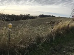 Photo Dec 03, 1 13 19 PM